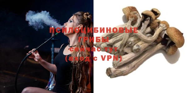 MDMA Premium VHQ Богородицк