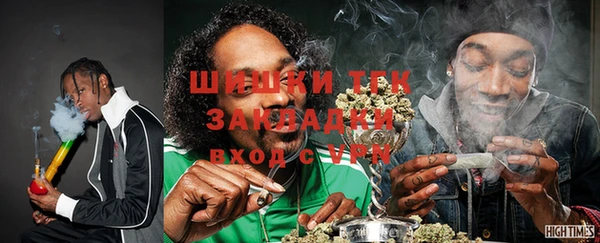 эйфоретик Бородино