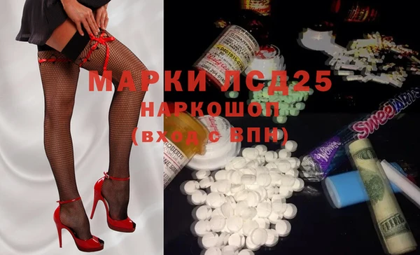 эйфоретик Бородино