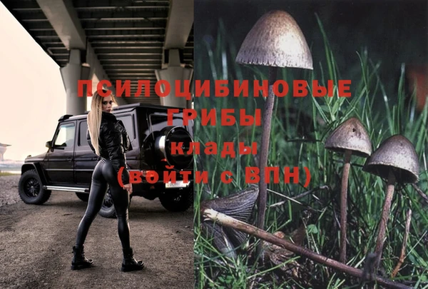 спайс Бугульма